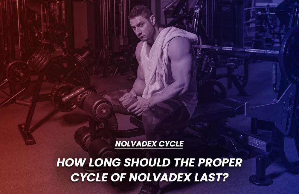 How long Nolvadex last