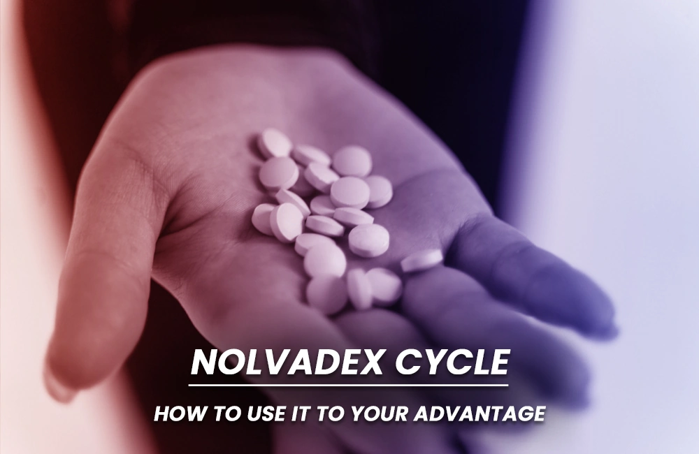 Nolvadex Cycle