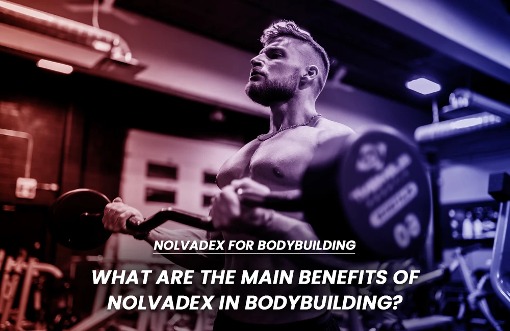 Nolvadex benefits in bodybuilding